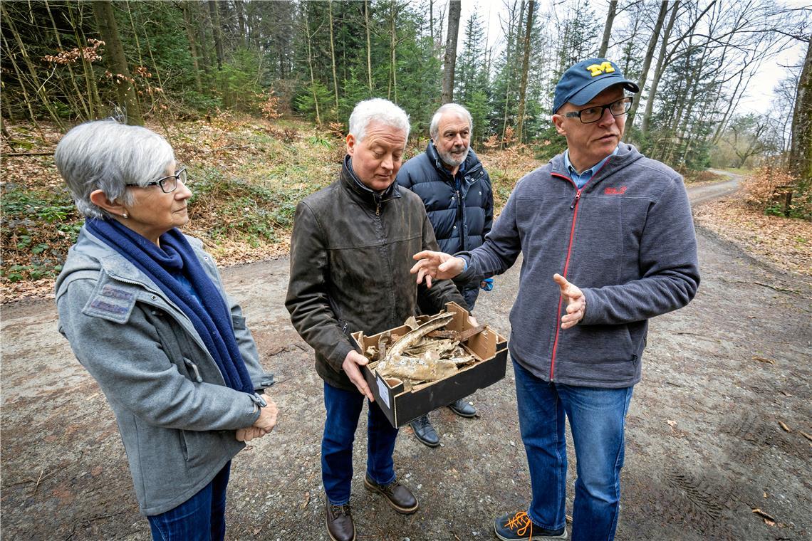 Lancaster zerschellte im Wald von Sechselberg