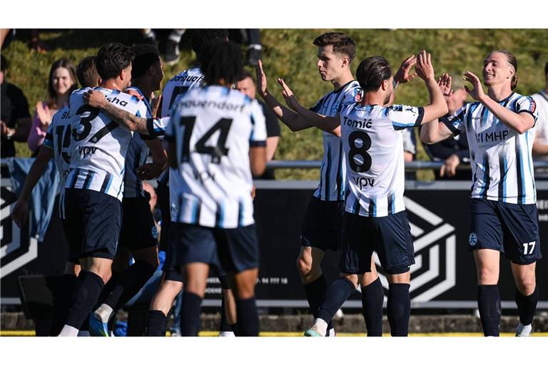 Jubel bei den Blauen über den Einzug ins Finale.