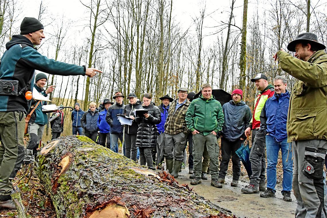 Jürgen Baumann (links) und Paul Bek (Zweiter von links) bringen das gefällte Holz im Backnanger Wald in Kirchberg an der Murr an den Mann. Fotos: Tobias Sellmaier
