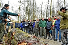 Jürgen Baumann (links) und Paul Bek (Zweiter von links) bringen das gefällte Holz im Backnanger Wald in Kirchberg an der Murr an den Mann. Fotos: Tobias Sellmaier
