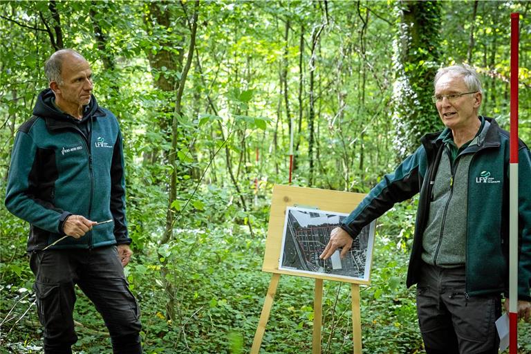 Jürgen Baumann und Ulrich Häußermann (von links) im Gewann Kühwald bei Maubach. Das Gebiet ist durch kleinteilige private Waldstücke geprägt. Teils liegen die Parzellen sehr eng zusammen, wie die Markierungen mit den Stangen anzeigen. Fotos: Alexander Becher