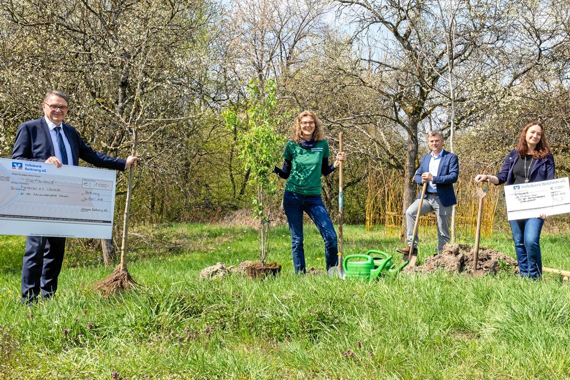 Jürgen Beerkircher (Volksbank Backnang; von links), Michaela Genthner vom Montessori-Verein, Bürgermeister Ian Schölzel und Daniela Nirk (Volksbank Welzheim) beim Spatenstich an der ersten geplanten Station, dem Naschgarten. Foto: A. Becher