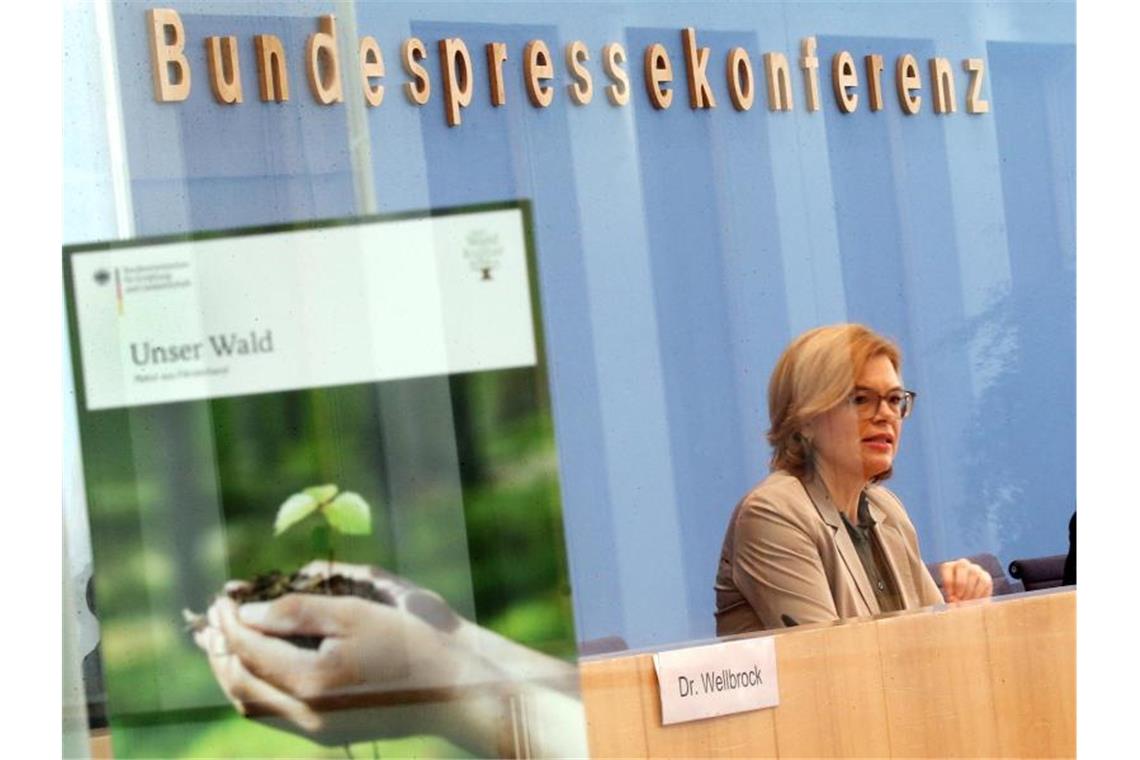 Julia Klöckner (CSU), Bundeslandwirtschaftsministerin, stellt vor der Bundespressekonferenz den Waldzustandsberichts 2020 vor. Foto: Wolfgang Kumm/dpa