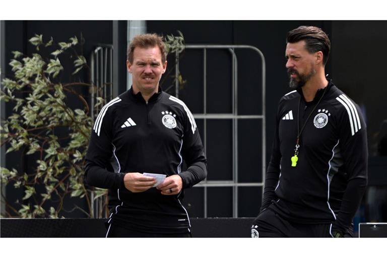 Julian Nagelsmann (l) und Sandro Wagner beim letzten gemeinsamen DFB-Training.