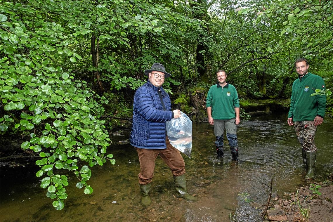 Fingerlinge flitzen flink in den Fluss Jung-Bachforellen finden in der Murr einen neuen Lebensraum: Dieser Aufgabe haben sich Christian Veitinger und Florian Karpf vom Angelsportverein Murrhardt verschrieben. Murrhardts Bürgermeister Armin Mößner half ihnen am Wochenende dabei.