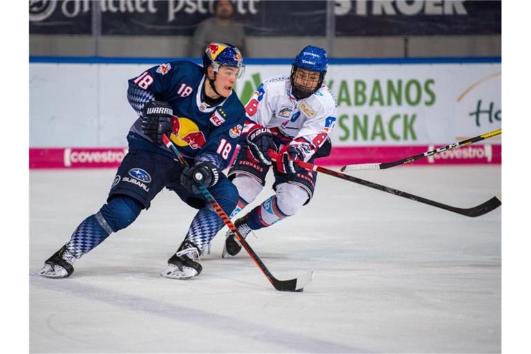 Justin Schütz von Red Bull München und Tim Stützle von Adler Mannheim (l-r.) bemühen sich um den Puck. Foto: Lino Mirgeler/dpa