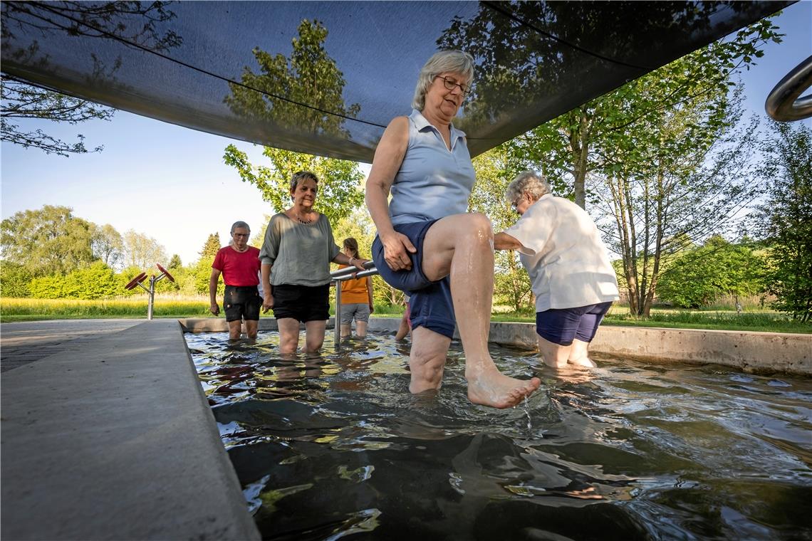 Jutta Soehnle vom Naturheilverein (vorne) kneippt mit Seminarteilnehmern im Wassertretbecken in Unterbrüden. Foto: Alexander Becher