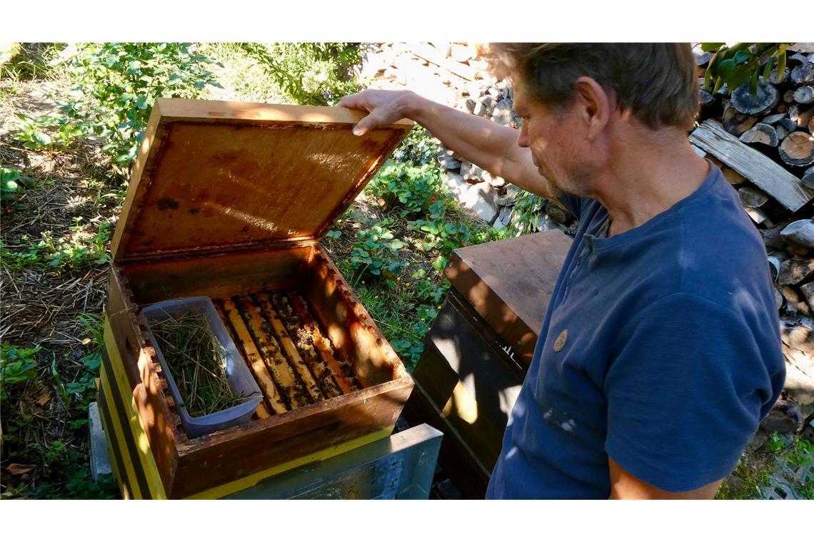 Käpnick schaut regelmäßig, ob es seinen Bienen gut geht. (Archivbild)