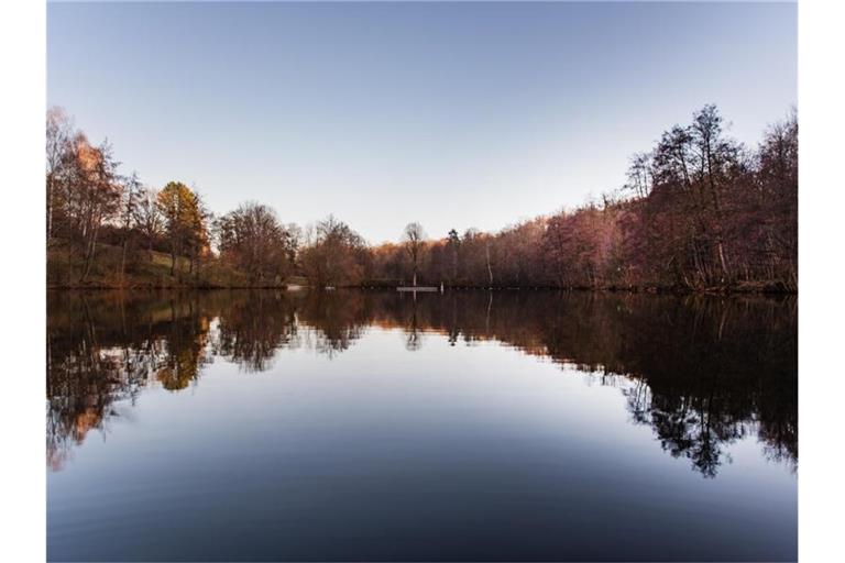 Kahle Bäume und Bäume mit herbstlich gefärbten Blättern stehen am Bürgersee in Kirchheim unter Teck. Foto: Tom Weller/dpa/Archivbild