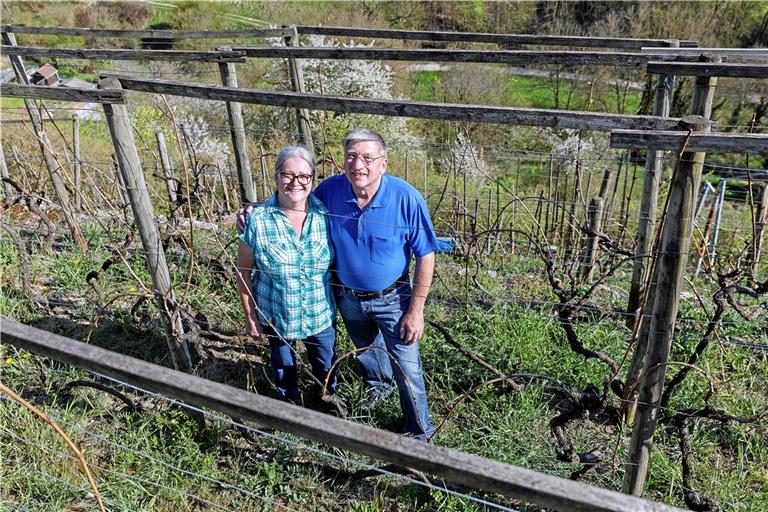 Karin und Rainer Schneller sind mit Leidenschaft Hobbyweingärtner. In der Steillage ist dies mit viel Knochenarbeit verbunden. Foto: J. Fiedler