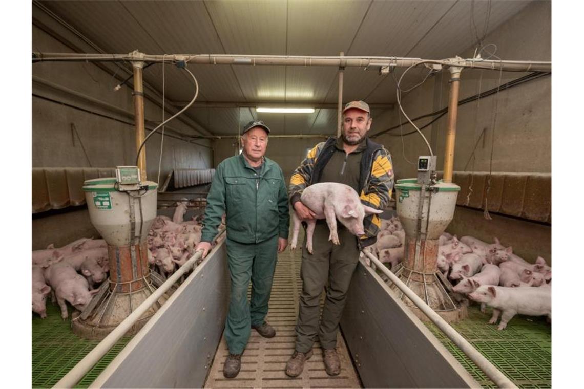 Kein Schwein mehr: Wenn der Züchter aufgibt Karl (l) und Marco Weber stehen in einem ihrer Ställe in Lissendorf. Foto: Harald Tittel/dpa