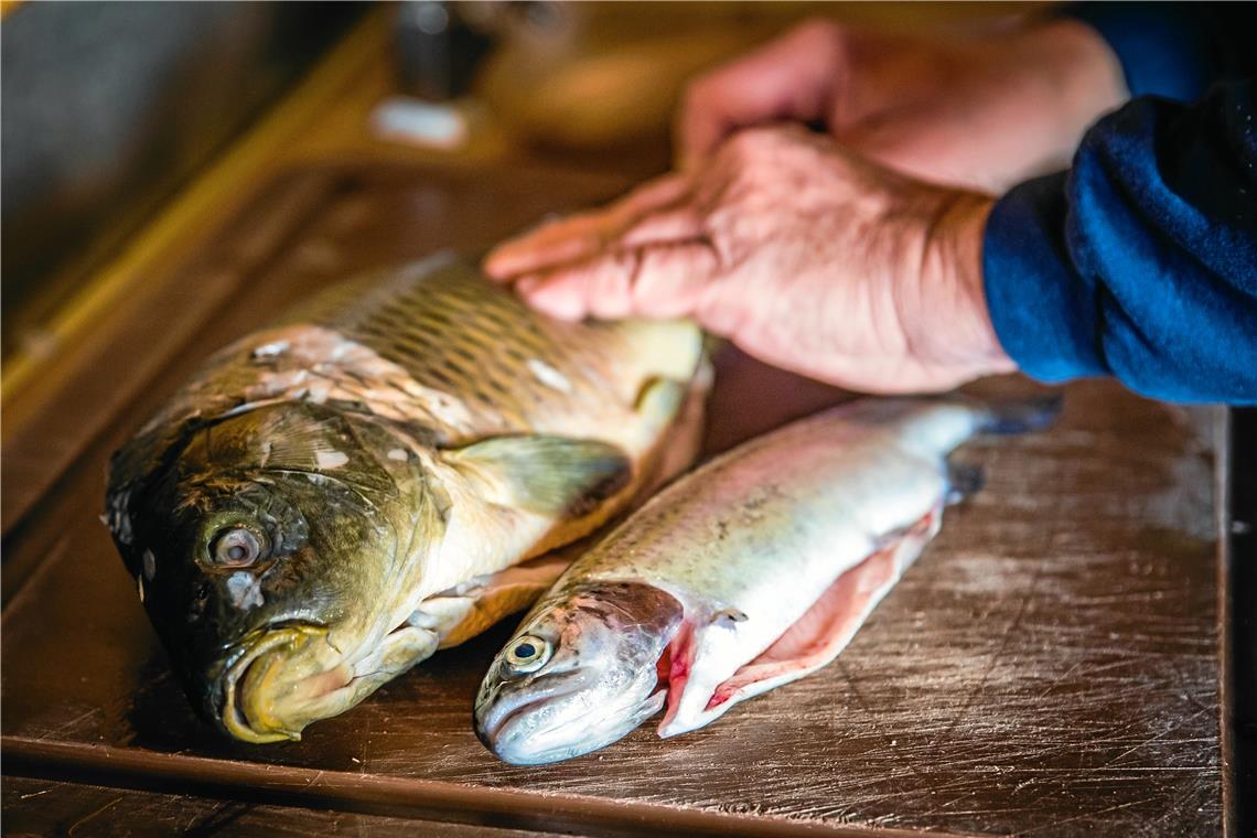 Schwimmende Delikatessen aus der Region Karpfen (links) und Forelle: Beide weiß der Kirchberger gekonnt zuzubereiten.
