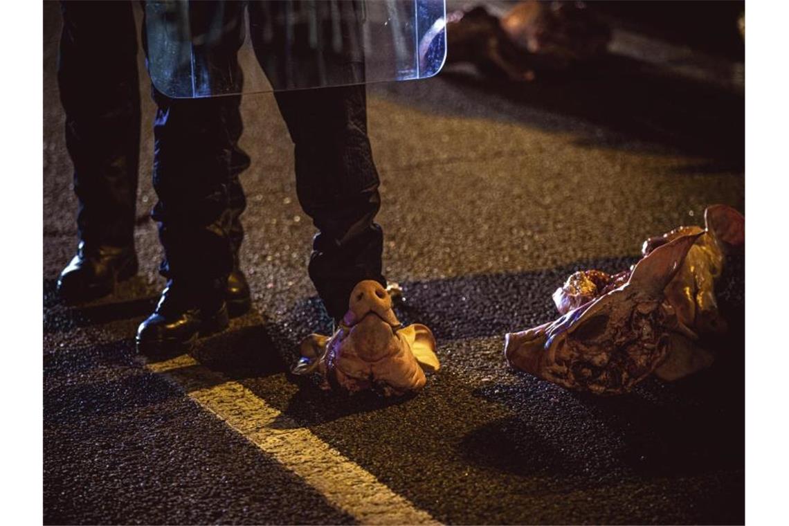 Katalanen demonstrieren gegen Absetzung des Regierungschefs Katalanische Sicherheitskräfte sind von Demonstranten unter anderem mit Schweineköpfen beworfen worden. Foto: Matthias Oesterle/ZUMA Wire/dpa