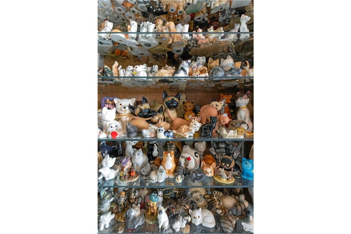 Katzen in allen Variationen füllen die Vitrinen im Haus der Sammlerin. Insgesamt besteht die Sammlung von Margret Schmid inzwischen aus rund 3000 Exponaten.