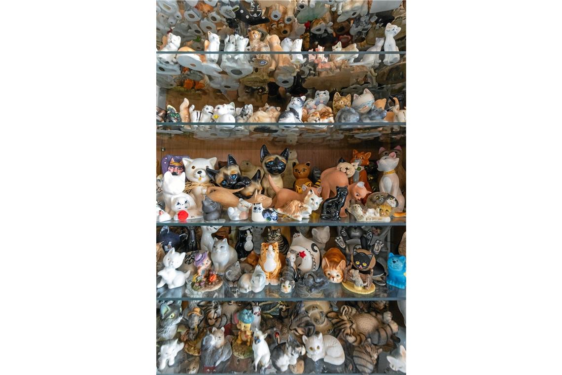 In diesem Haus ist alles für die Katz Katzen in allen Variationen füllen die Vitrinen im Haus der Sammlerin. Insgesamt besteht die Sammlung von Margret Schmid inzwischen aus rund 3000 Exponaten.