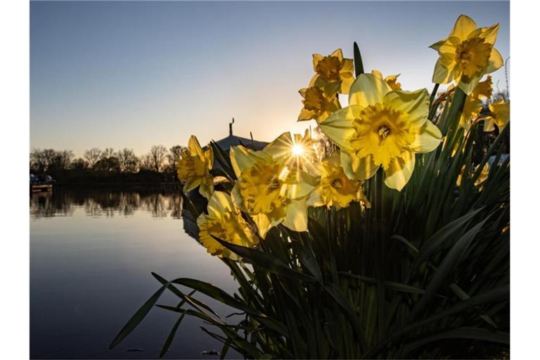 Keine Wolke zeigt sich am frühen Morgen über einem Fluss. Foto: Ulrich Perrey/dpa/Symbolbild