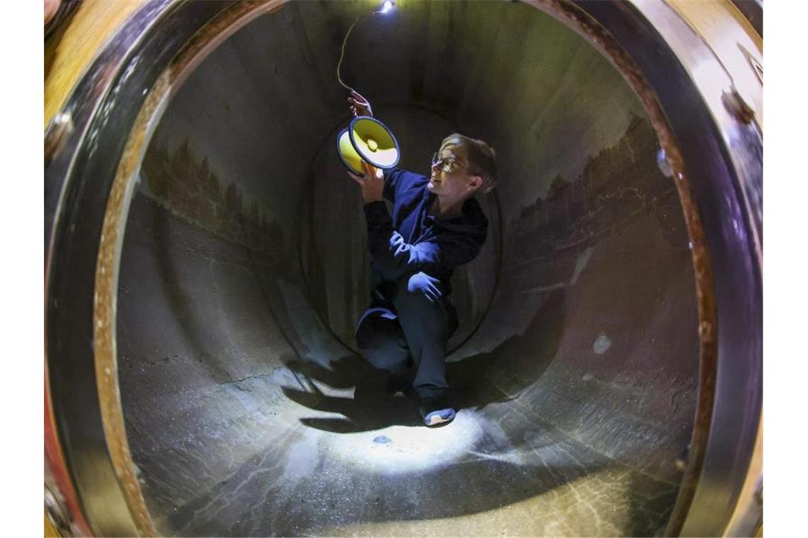 Kellermeisterin Kathleen Romberg installiert einen Unterweinlautsprecher in einem Eichenholzfass in der Winzervereinigung Freyburg. Foto: Jan Woitas/dpa-Zentralbild/dpa