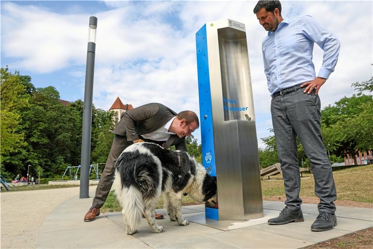 Keyla, die Hündin von Oberbürgermeister Maximilian Friedrich, ist die erste Vorkosterin am neu errichteten Trinkwasserbrunnen im Annonaygarten. Auch der Geschäftsführer der Stadtwerke Backnang Thomas Steffen ist zufrieden. Foto: Alexander Becher