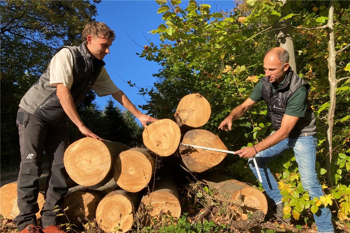 Nach Hamsterkäufen wird Brennholz auch im Raum Backnang knapp Kilian Knötzele (links) und Jürgen Baumann vom Kreisforstamt begutachten die Holzernte bei Oppenweiler. Wer sich ein Los Brennholz sicher wollte, musste dieses Jahr früh dran sein.Foto: Kornelius Fritz