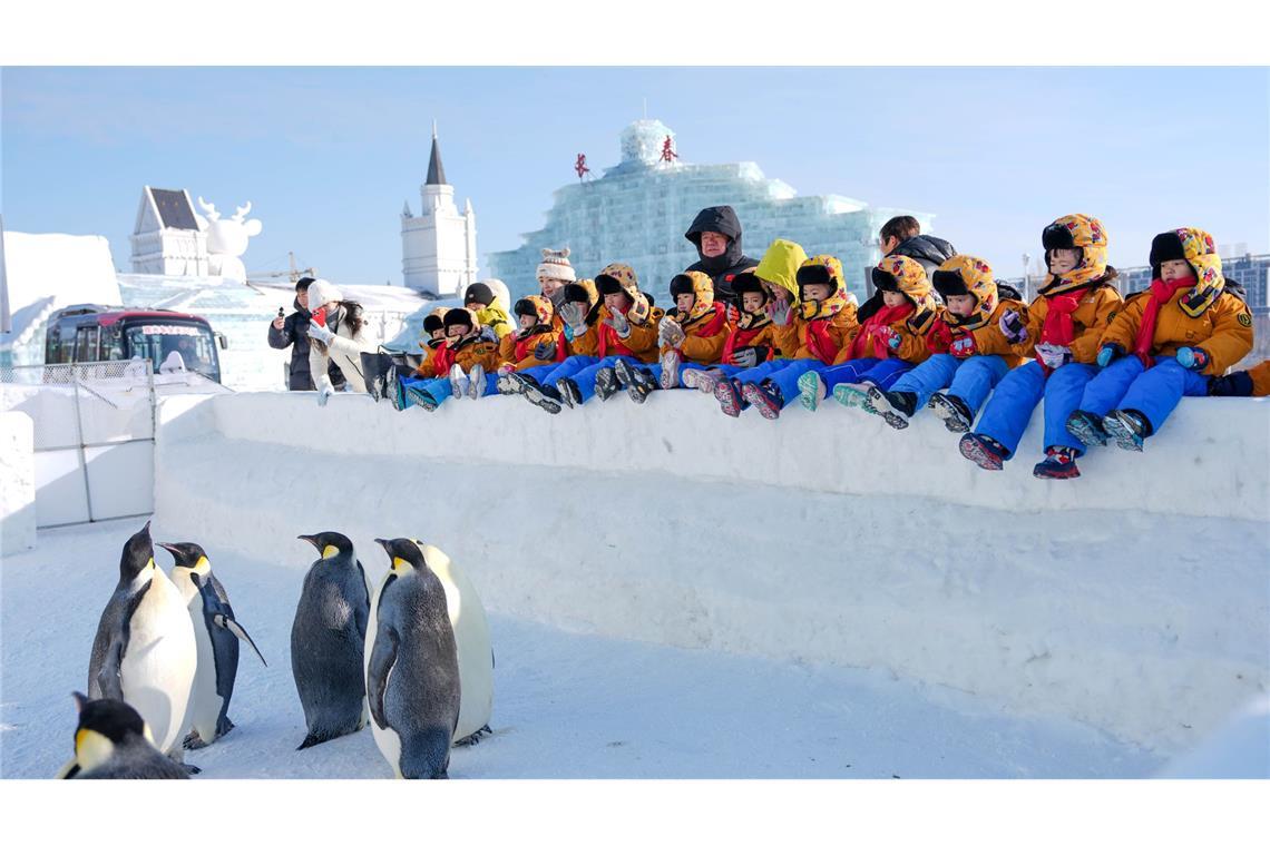 Kinder beobachten Pinguine in der Changchun Ice and Snow New World in Changchun.