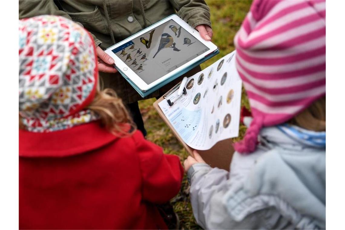 Kinder bestimmen bei der Vogelzählung "Stunde der Wintervögel" des Nabu (Naturschutzbund Deutschland) mit Hilfe der App "Nabu Vogelwelt" Arten. Foto: Britta Pedersen/dpa-Zentralbild/Archiv