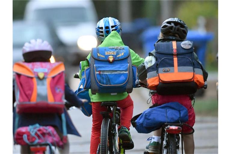 Kinder sind auf einer Straße mit dem Fahrrad unterwegs zur Schule. (Archivbild). Foto: Ralf Hirschberger/dpa-Zentralbild/dpa