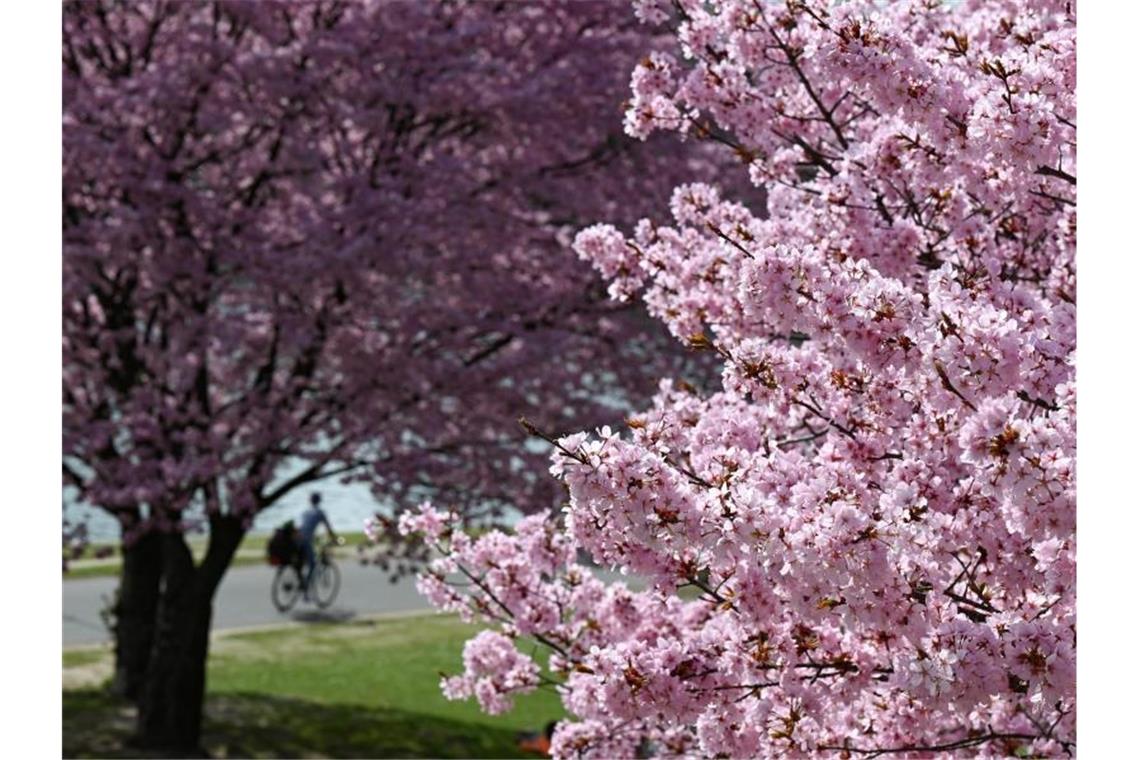 Viel Sonne und milde Temperaturen an Ostern im Ländle