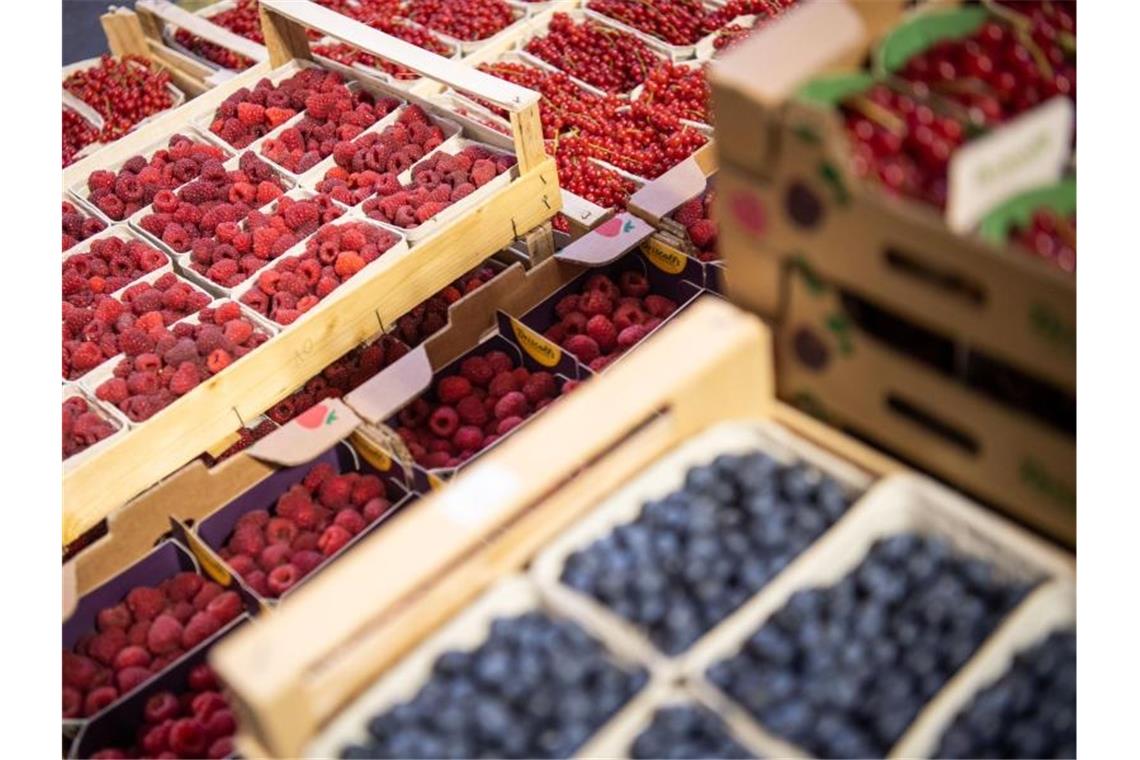 Beerenernte: Pflanzen noch gestresst vom Hitzesommer 2018 Kisten mit Himbeeren, Johannisbeeren und Blaubeeren sind zu sehen. Foto: Lino Mirgeler/dpa/Archiv