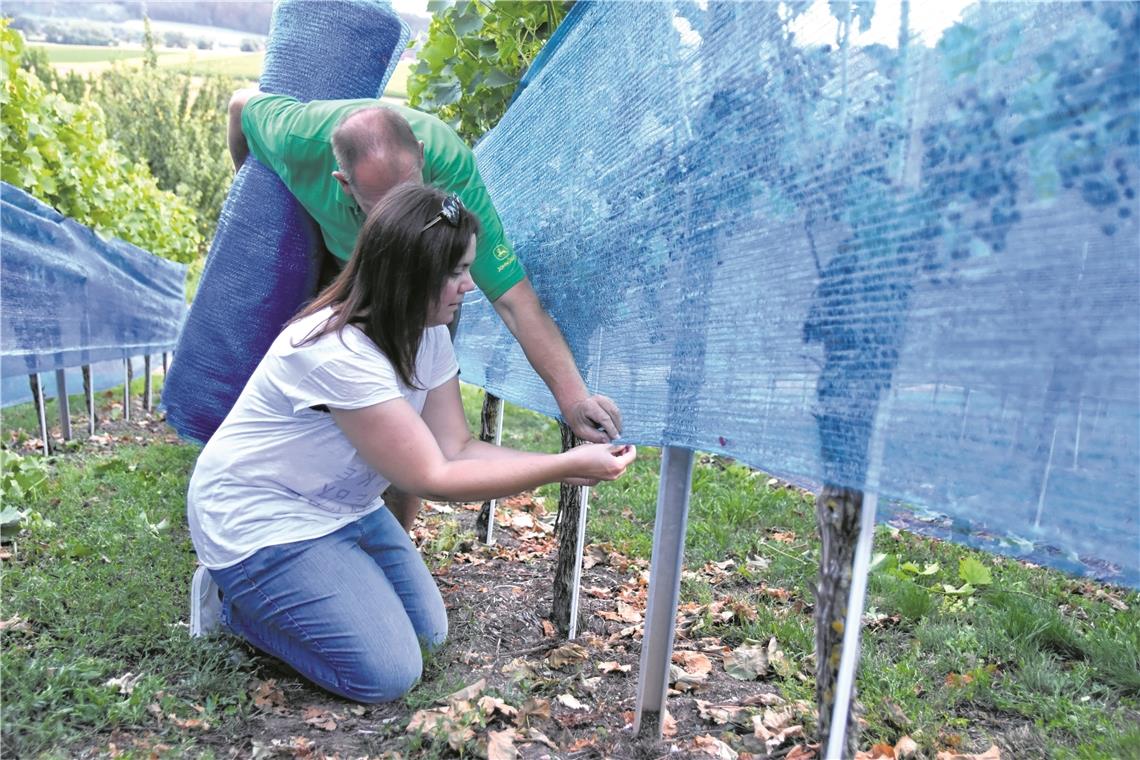 Klämmerchen ran und fertig: Der letzte Arbeitsschritt für den heutigen Arbeitseinsatz.