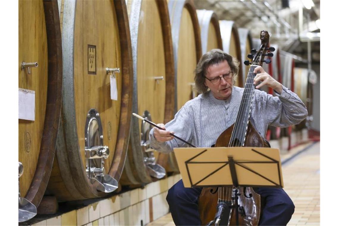 Klassik-Echo-Preisträger Thomas Fritzsch spielt auf einer Gamba Musik von Telemann im Fasskeller der Winzervereinigung Freyburg. Foto: Jan Woitas/dpa-Zentralbild/dpa