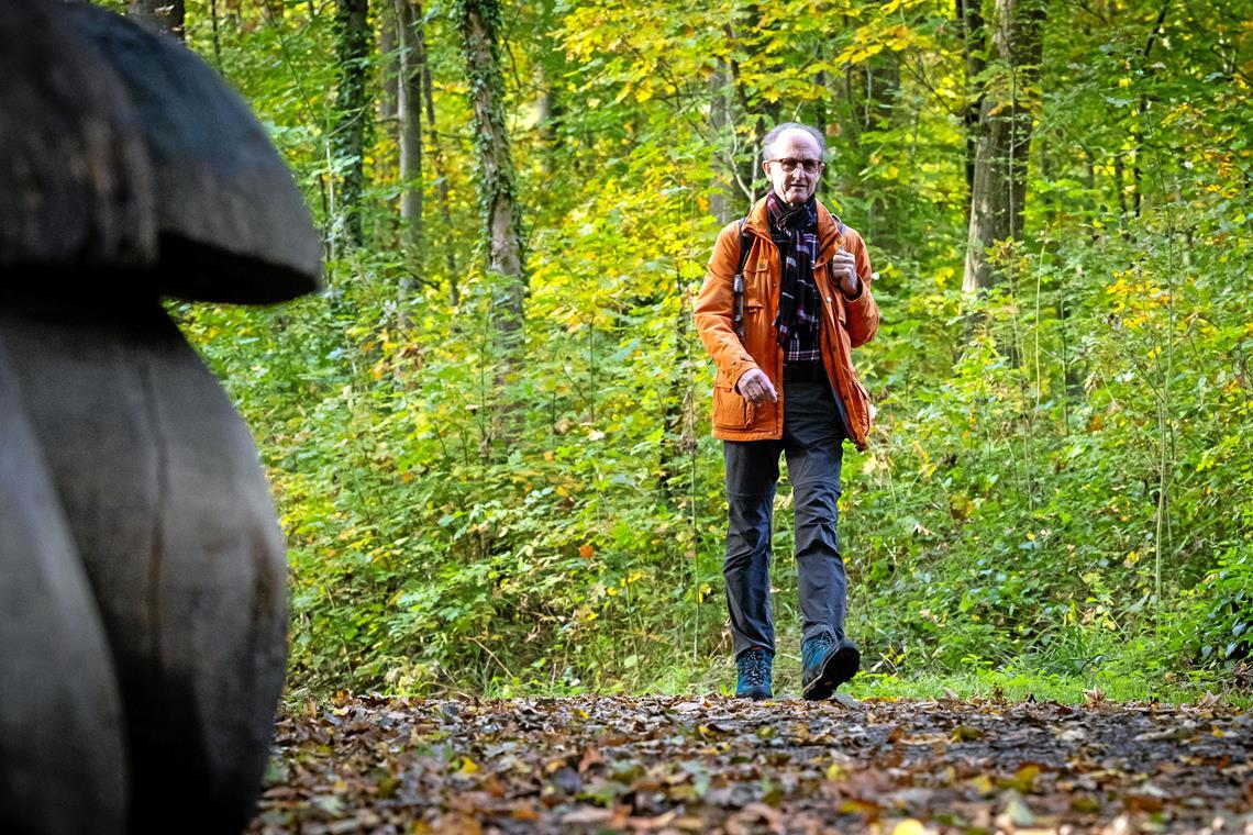 Schritte zählen für Backnang Klaus Becker wandert für die Schritte-Challenge von Backnang zu den Hörschbachwasserfällen. Fotos: Alexander Becher