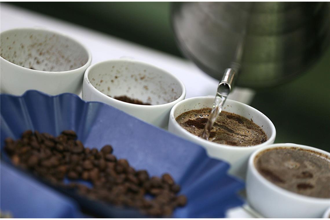 Knapp die Hälfte der Deutschen trinken mehrmals täglich eine Tasse Kaffee. Kaffee ist mit einem Pro-Kopf-Verbrauch von 162 Litern pro Jahr das beliebteste Getränk der Bundesbürger – mehr als Mineralwasser (145 Liter) und Bier (110 Liter). Die meisten (48,3 Prozent) trinken ihn, weil er ihnen schmeckt und Energie verleiht (42,4 Prozent).