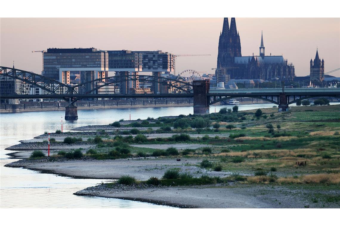 Köln wählt am Sonntag einen neuen Oberbürgermeister bzw. eine neue Oberbürgermeisterin. (Archivbild)