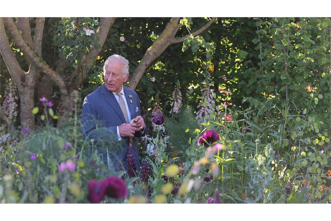 Chelsea Flower Show: Im Namen der Rose König Charles stützte sich beim Rundgang auf einen Stock.