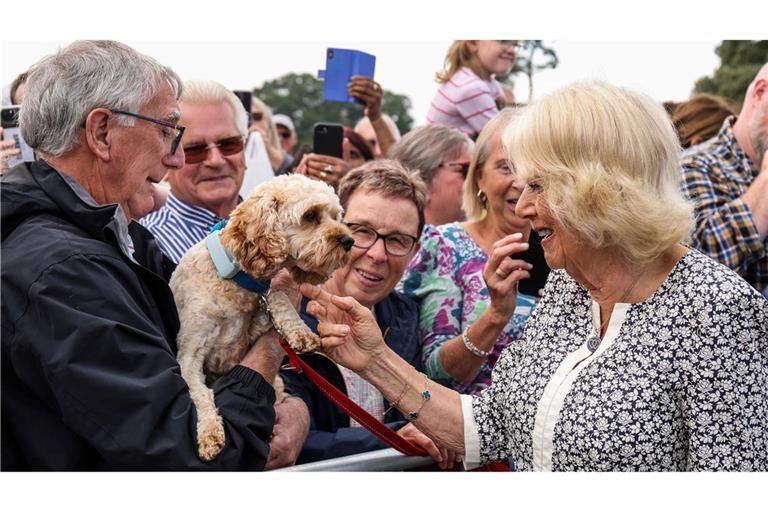 Königin Camilla begrüßt einen Hund und seinen Besitzer während eines Besuchs der Sandringham Flower Show in Sandringham House in Norfolk.