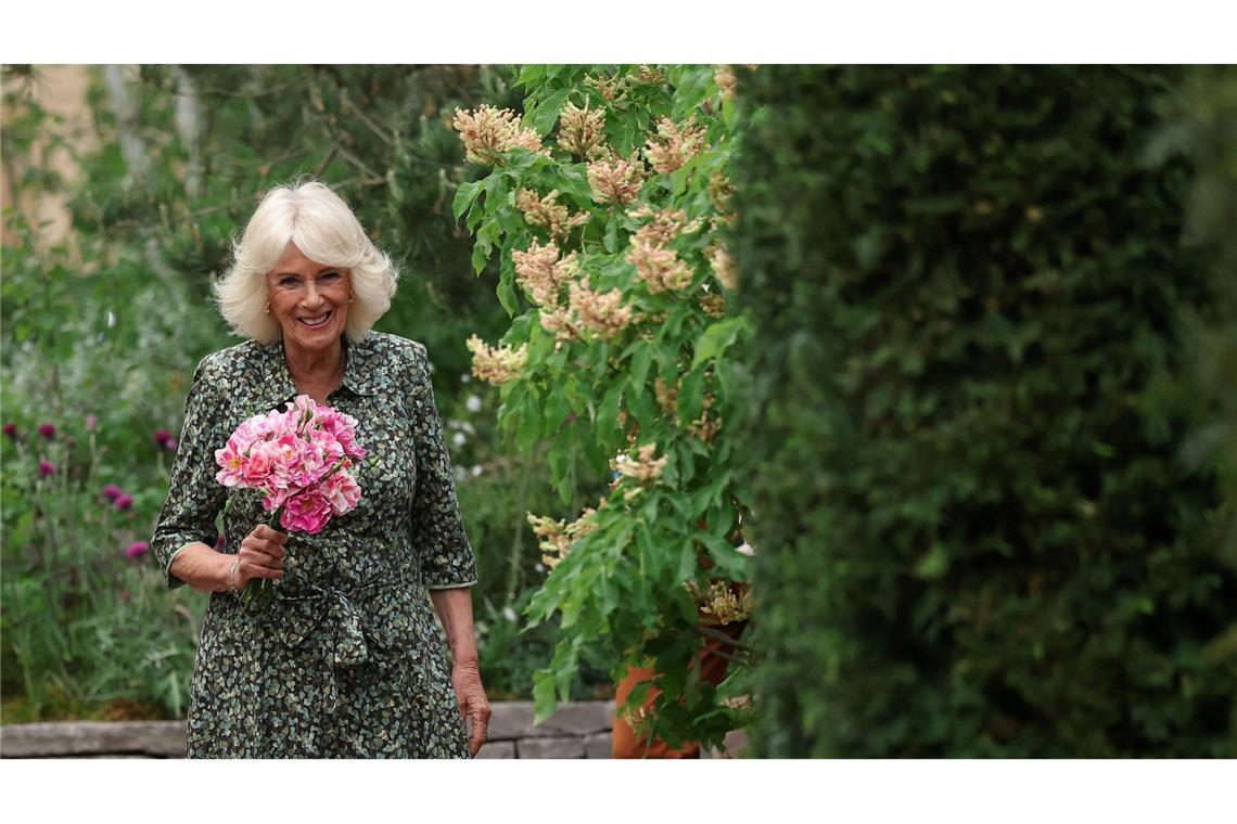 Chelsea Flower Show: Im Namen der Rose Königin Camilla hält die "King's Rose".