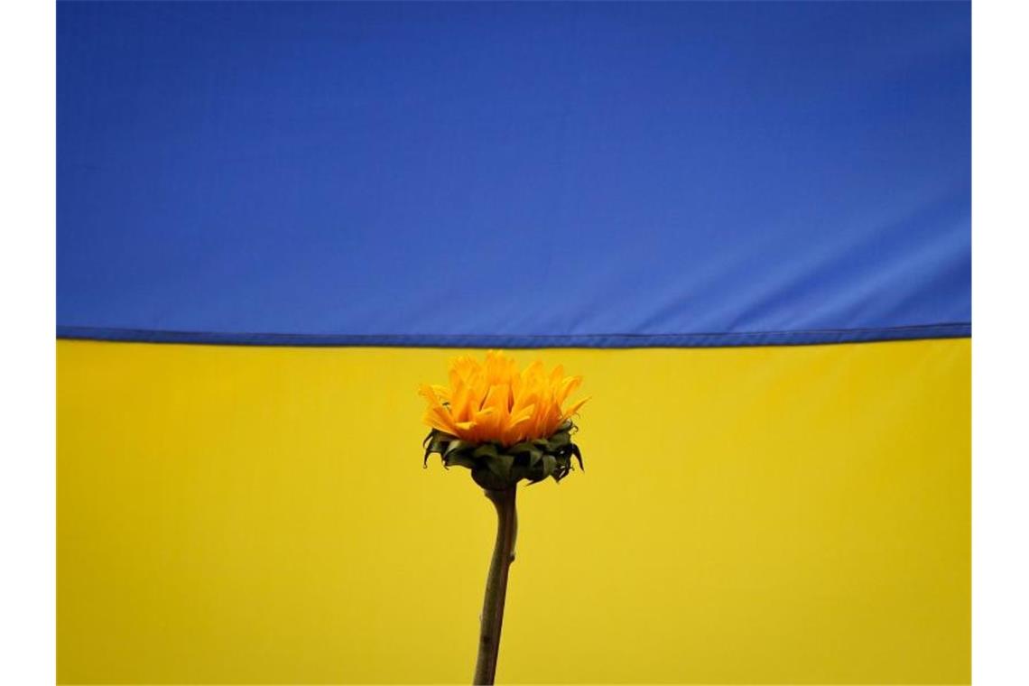 Ukraine schließt Debatte über neutralen Status nicht aus Könnte die Ukraine bald ihren Wunsch, Nato-Mitglied zu werden, aufgeben?. Foto: Jesus Vargas/
