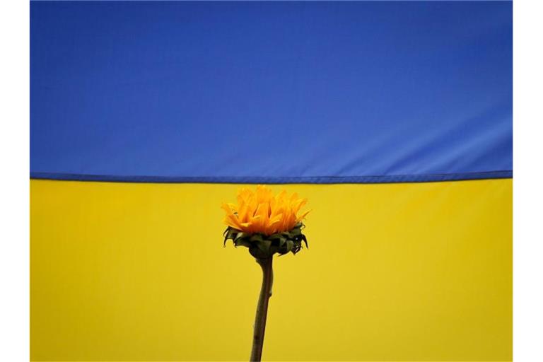 Könnte die Ukraine bald ihren Wunsch, Nato-Mitglied zu werden, aufgeben?. Foto: Jesus Vargas/