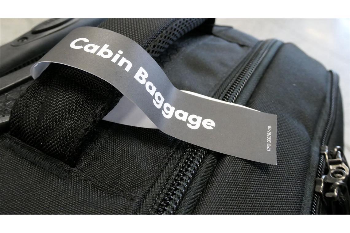 EU-Abgeordnete für Recht auf freies Handgepäck bei Flügen