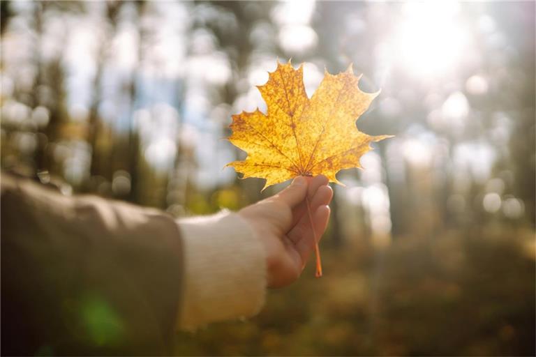 Kommt der goldene Oktober noch?