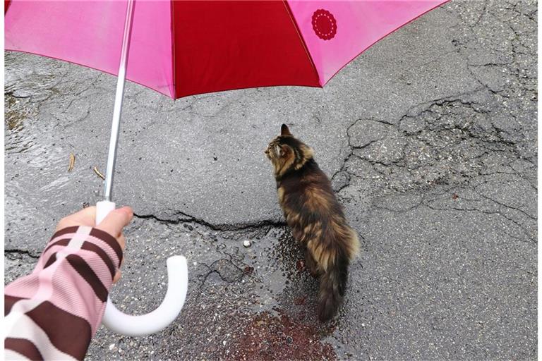 Kommt der Sommer bald wieder?