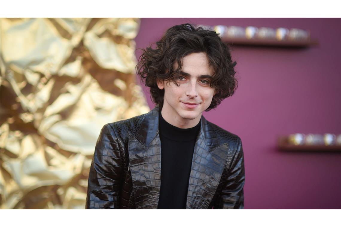 Neue Chefin, neues Festival? Das bringt die Berlinale 2025 Kommt Timothée Chalamet mit dem Biopic zu Bob Dylan zur Berlinale? (Archivbild)