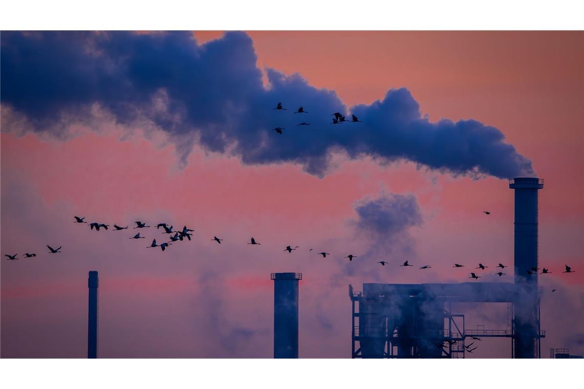 Kraniche fliegen bei Sonnenaufgang über Industrieanlagen in Wismar. (zu dpa: «Wirtschaftsinstitute verdoppeln Konjunkturprognose»)
