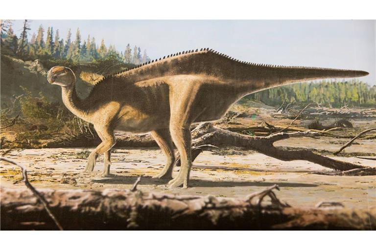 Künstlerische Darstellung von Istiorachis macaruthurae