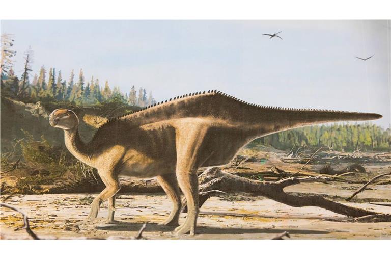 Künstlerische Darstellung von Istiorachis macaruthurae. Im Süden von England haben Forscher eine bislang unbekannte Dinosaurier-Art entdeckt.