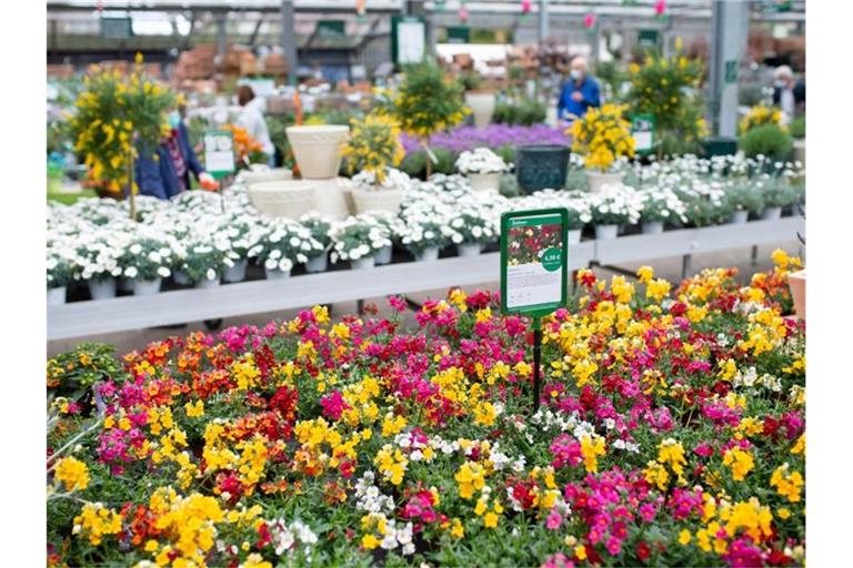 Kunden kaufen in einem Gartencenter ein. Foto: Sven Hoppe/dpa/Symbolbild