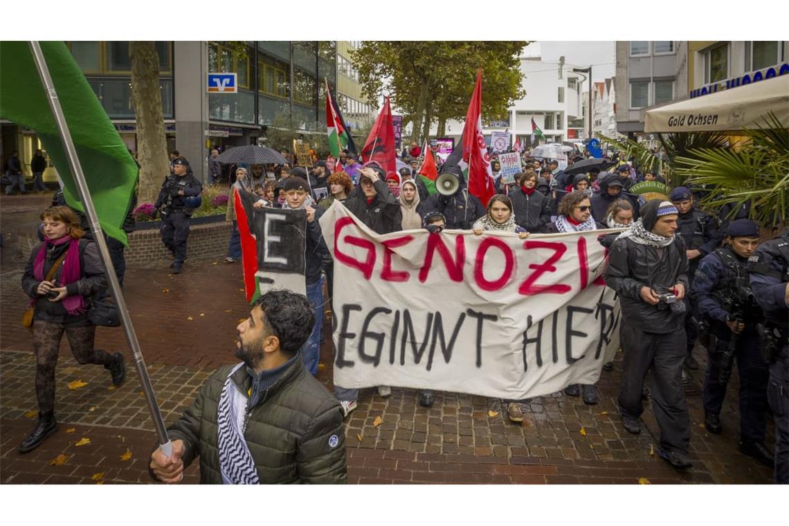 Kundgebung und Demo der Pro-Palästina-Bewegung am Wochenende in Ulm.