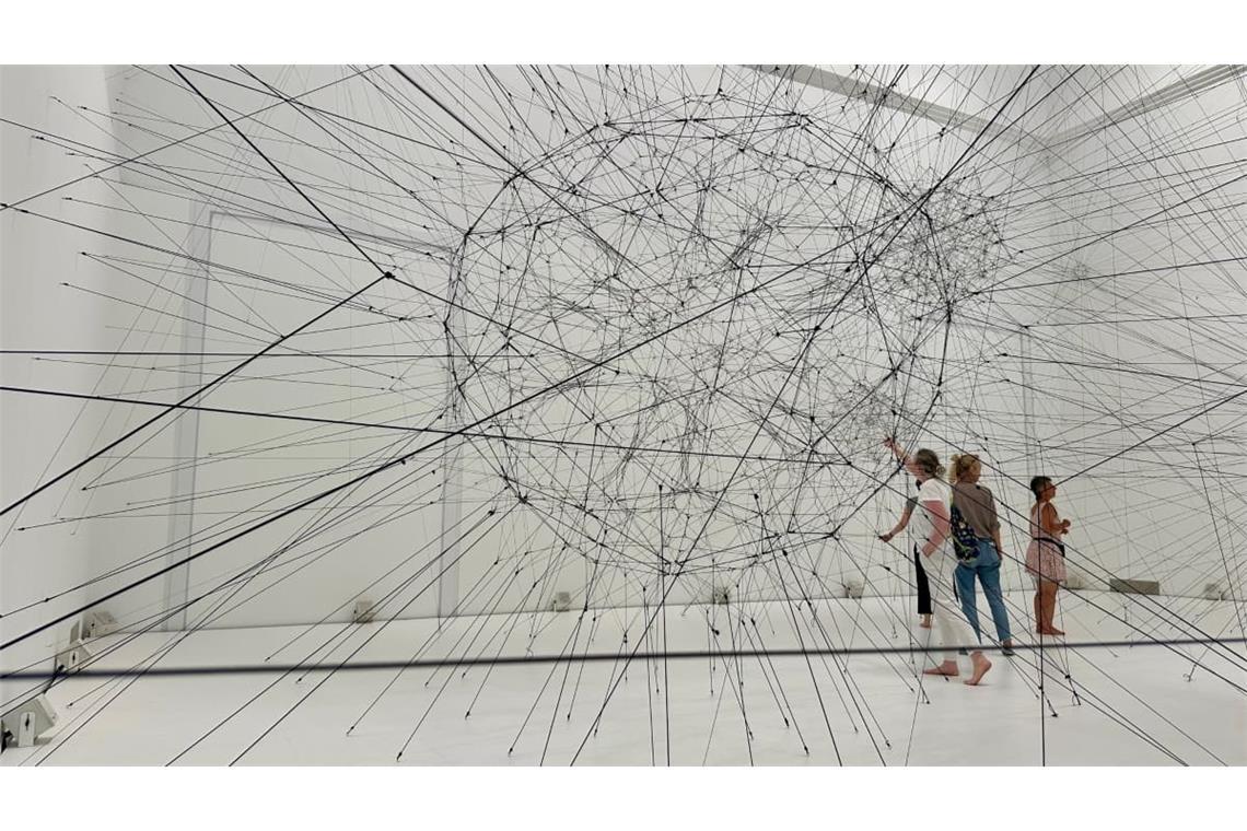 Kunstvoll gesplnnte Schnüre, die bei Berührung Töne erzeugen: „Algo-R(h)i(y)thms“
