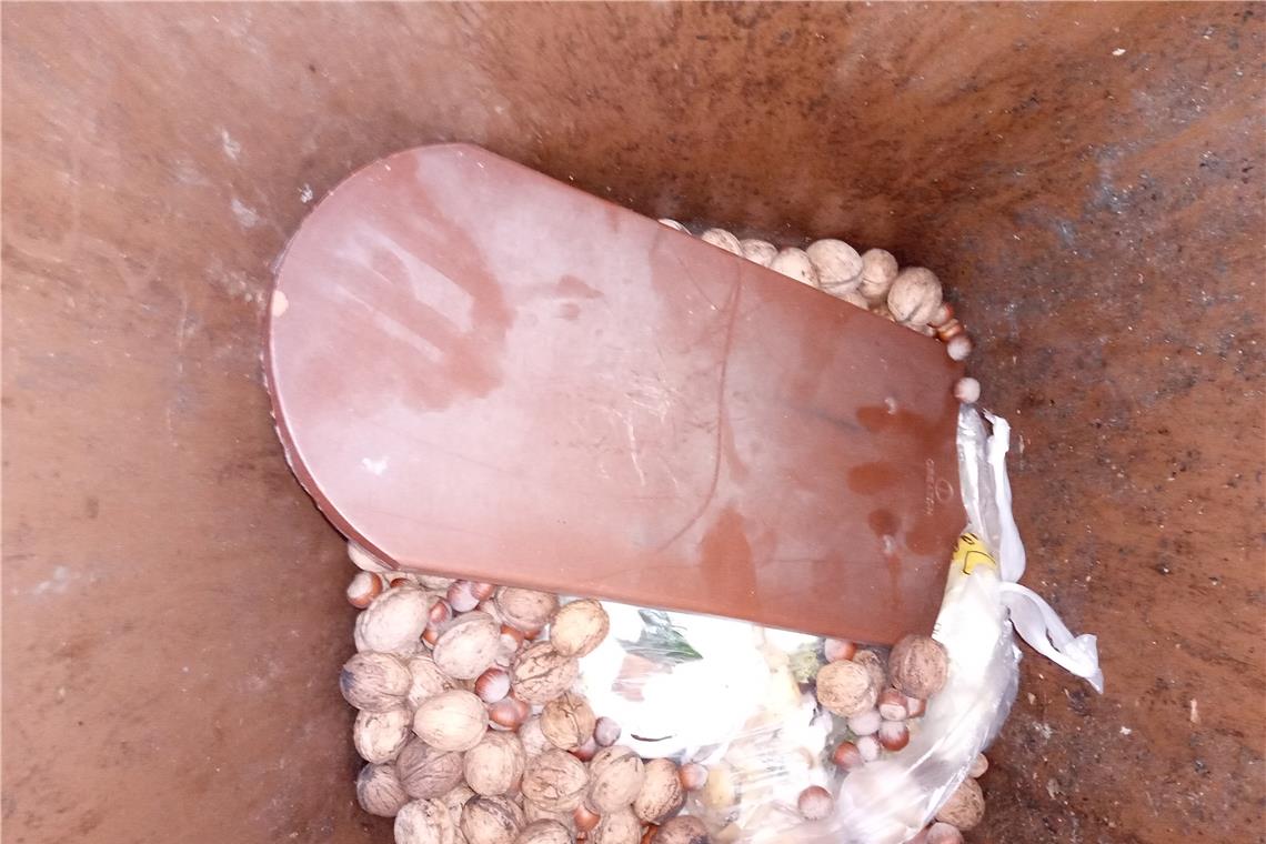 Müllabfuhr lässt 2000 Biotonnen stehen Kurioser Fund in der braunen Tonne: Ein Dachziegel hat dort nichts verloren. Fotos: AWRM
