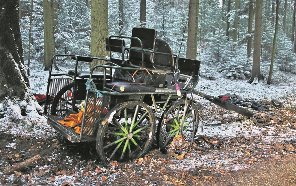 Schnee im Advent – Unglück mit Kutsche Kutschfahrt mit tragischem Ende: Die beiden Pferde, die die Kutsche gezogen hatten, gerieten aus bislang ungeklärten Gründen in Panik. Der 85-jährige Gespannlenker wurde schwer verletzt.